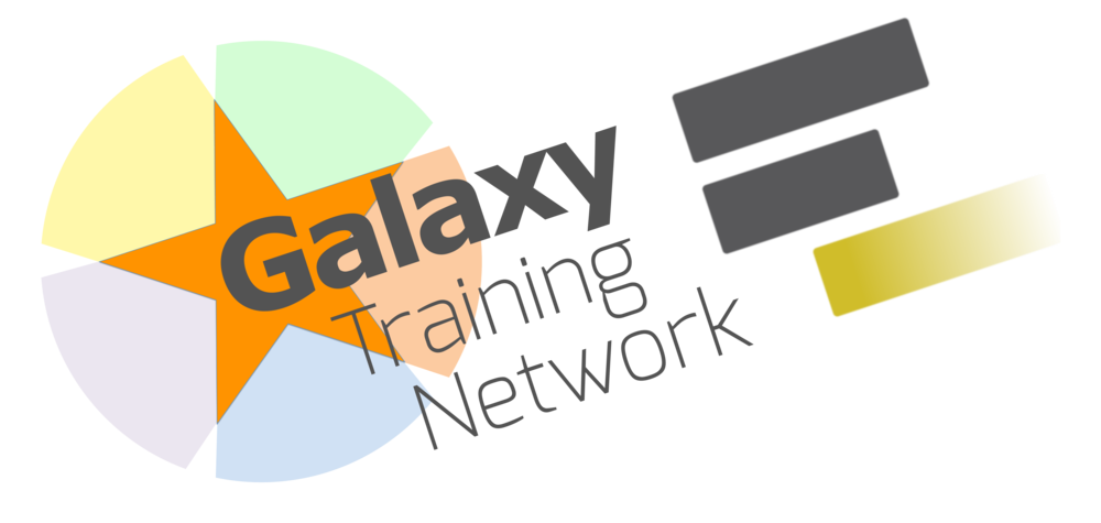 Galaxy Training Network